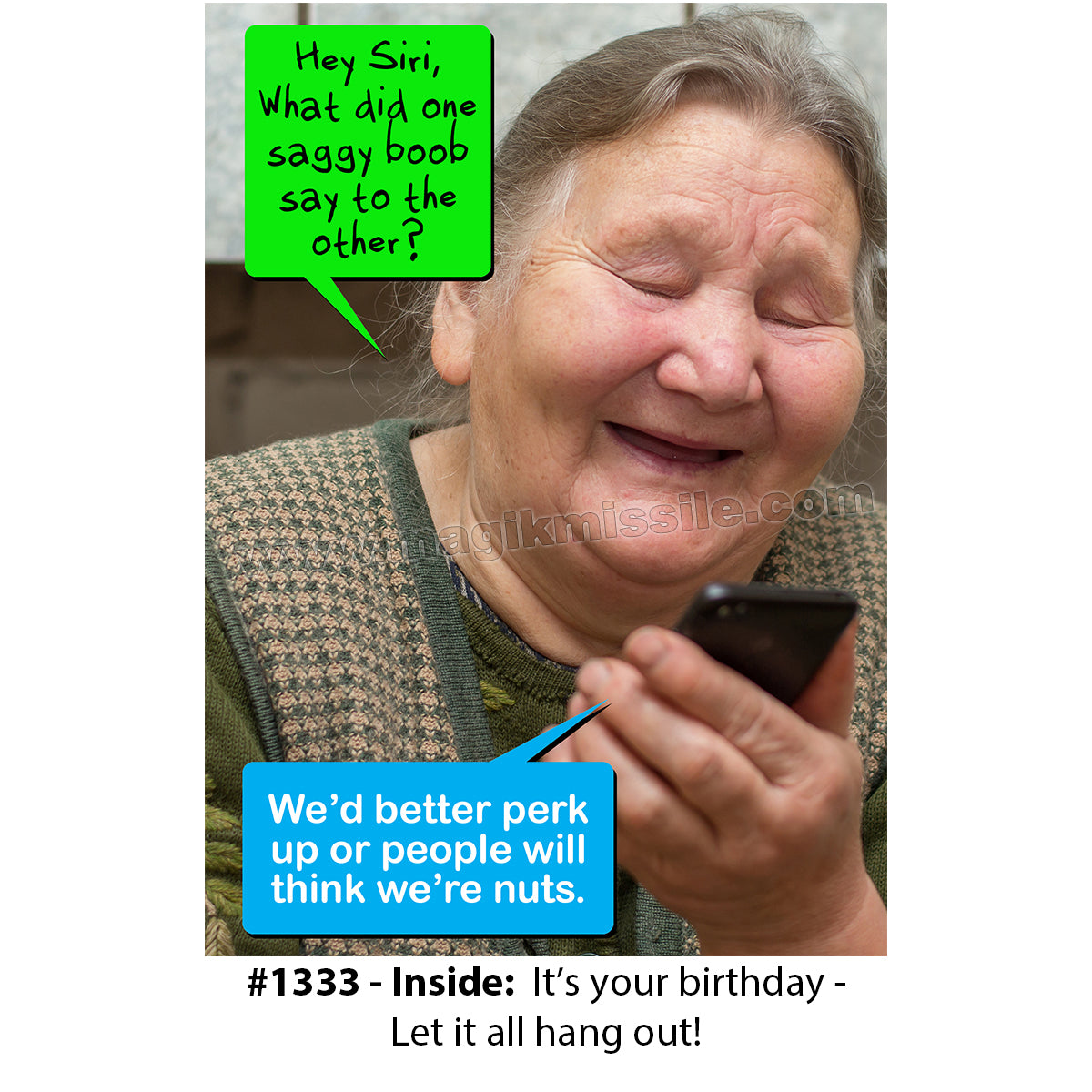 1333 - Funny Birthday Card