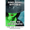 1336 - Funny Birthday Card