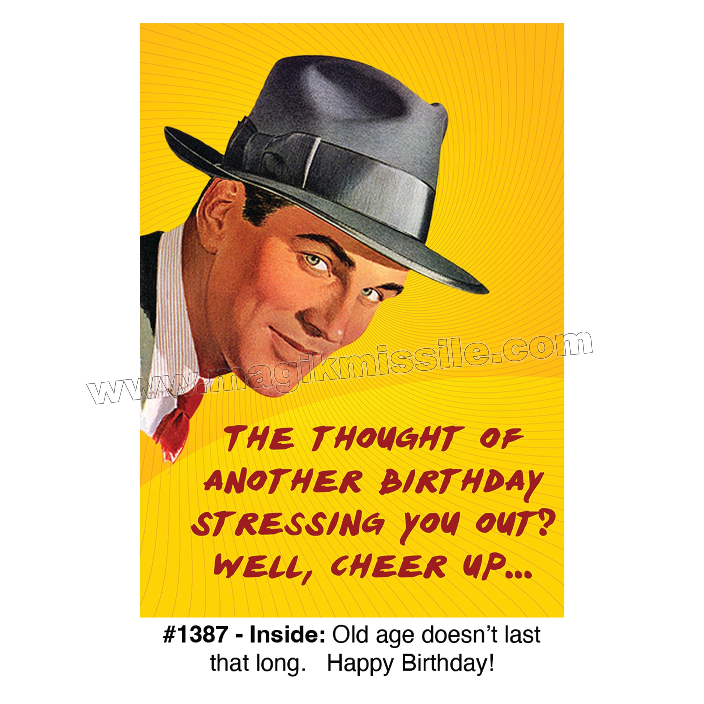 1387 - Funny Birthday Card