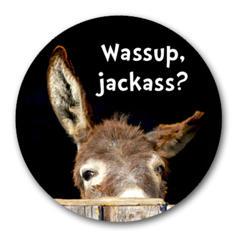 MR36 - Round Fridge Magnet