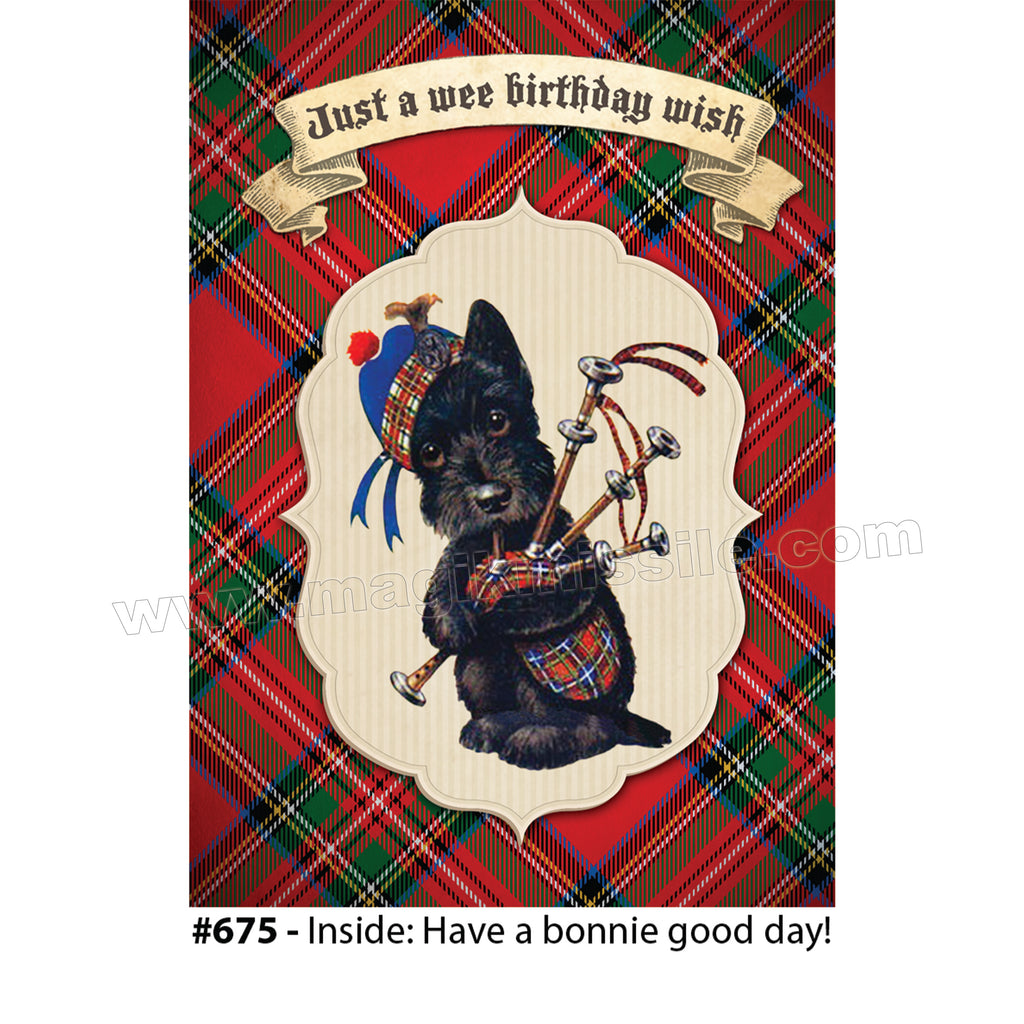 675 - Birthday Card