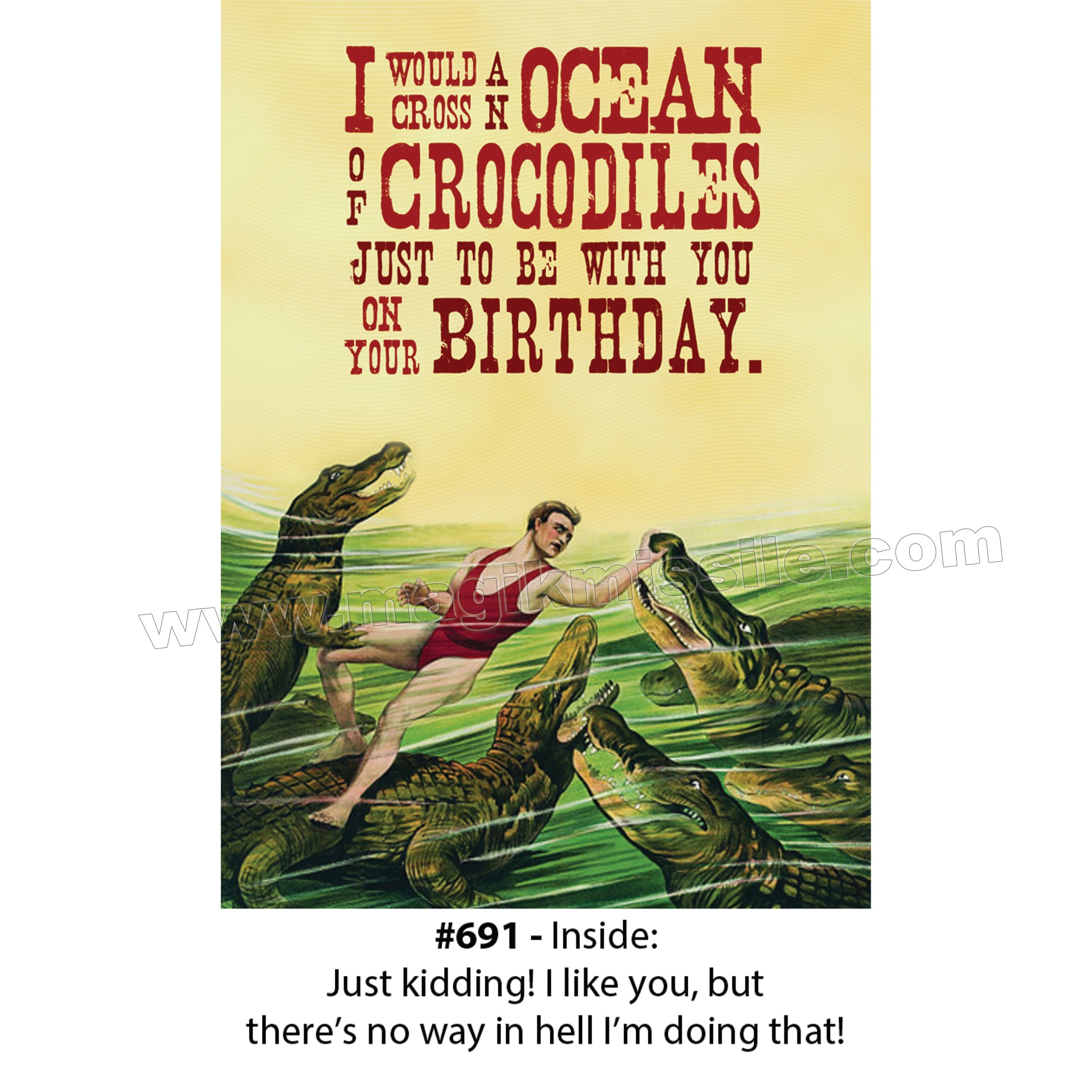691 - Birthday Card