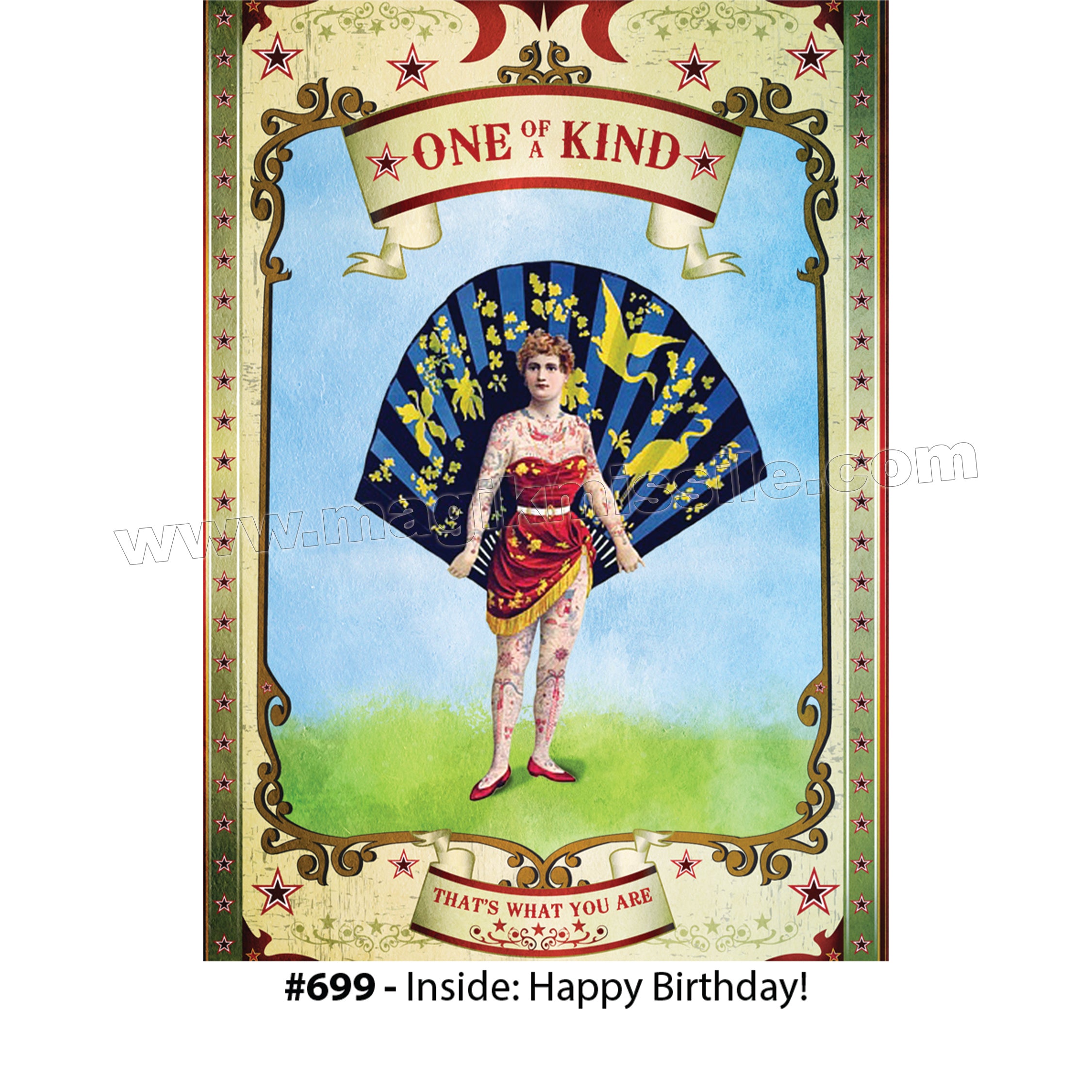 699 - Birthday Card