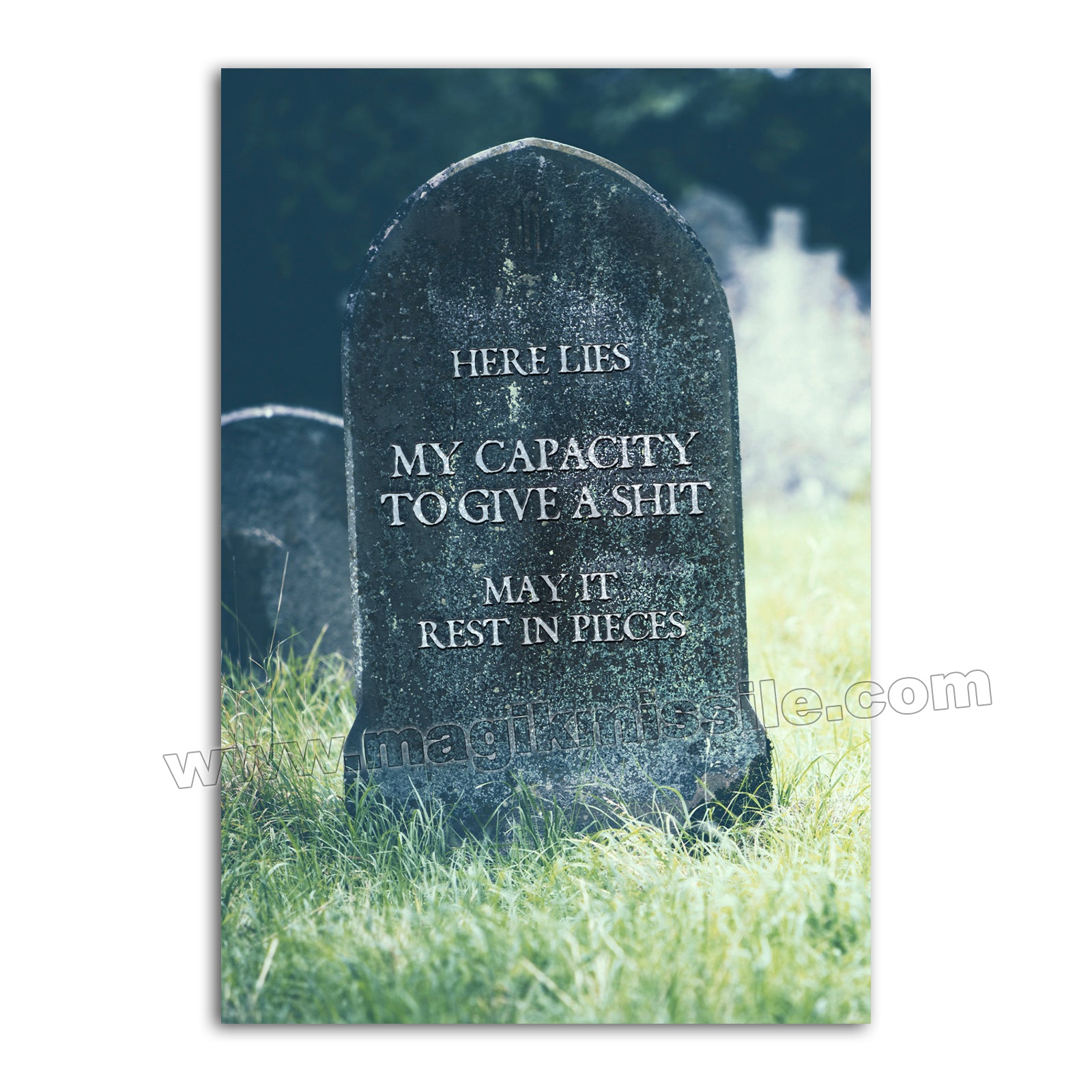 M223 - Funny Fridge Magnet