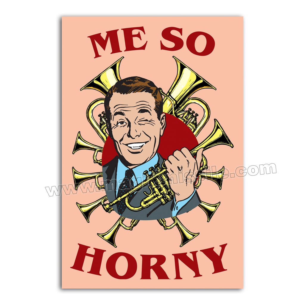 M246 - Funny Fridge Magnet