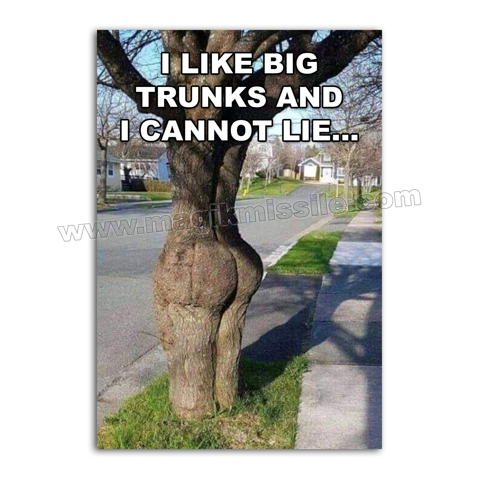 M257 - Funny Fridge Magnet