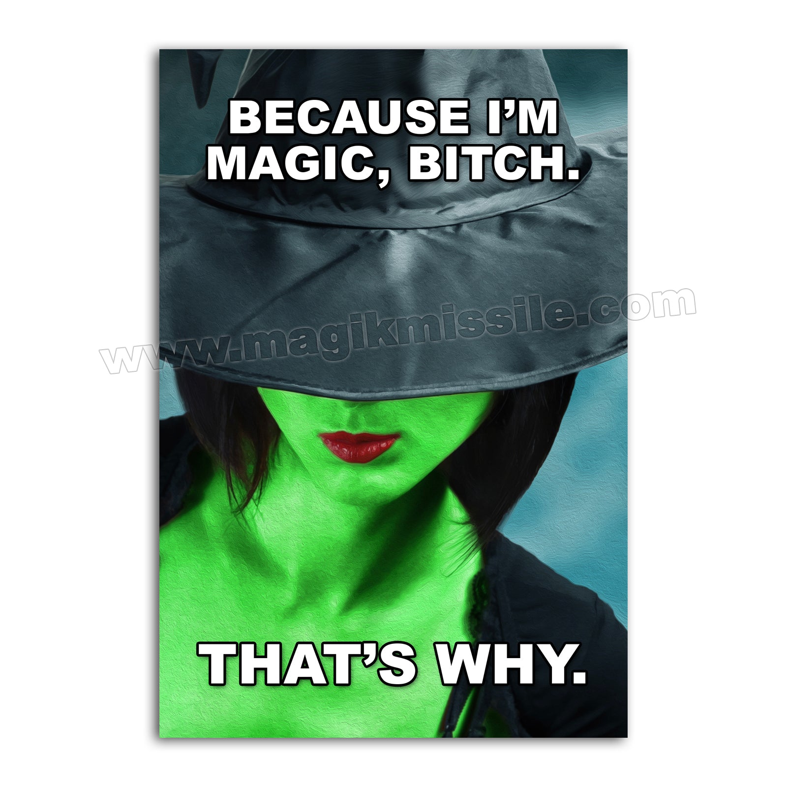 M258 - Funny Fridge Magnet