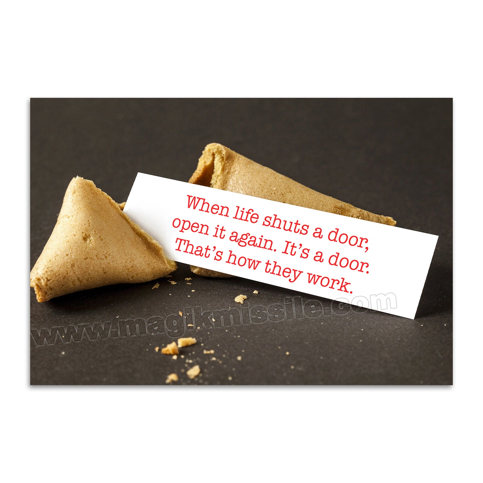 M451 - Funny Fridge Magnet