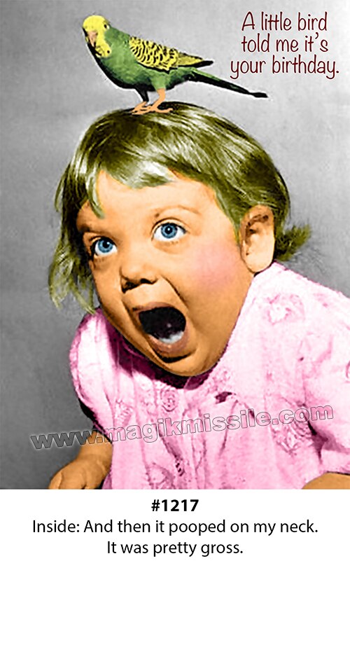 1217 - Birthday Card