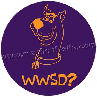 WWSD? button
