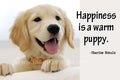 A Warm Puppy Magnet