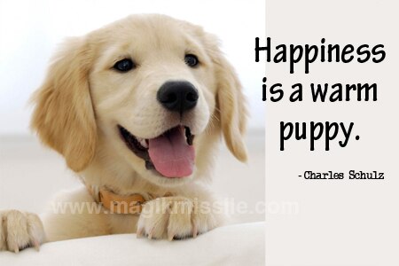 A Warm Puppy Magnet