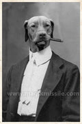 Don Fido Magnet
