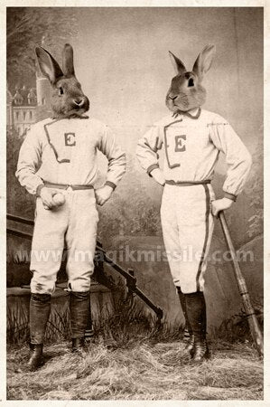 Baseball Bunnies Magnet