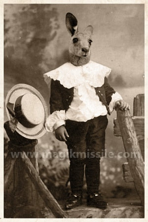 Kangaroo Kid Magnet