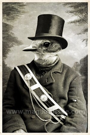 Mr. Finch Magnet