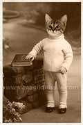 Kitty Kat Magnet