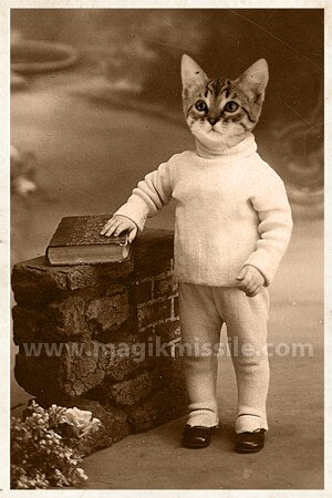 Kitty Kat Magnet