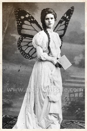 Madame Butterfly Magnet