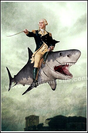 GW Shark magnet