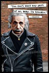Punk Einstein magnet