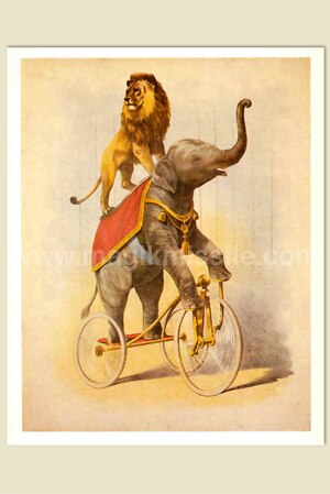 Lion & Elephant Magnet