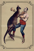Kangaroo Boxer Magnet