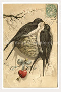 Lovebirds Magnet