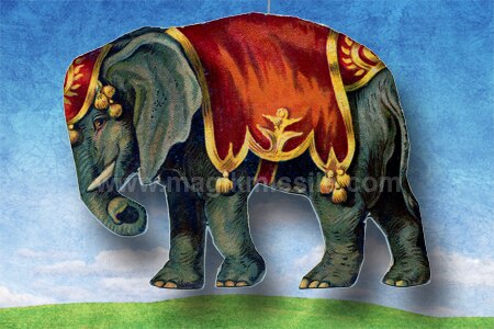 Elephant Magnet