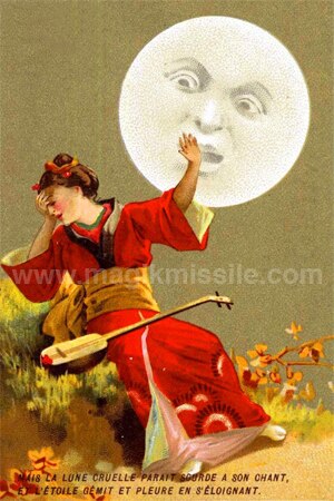 Moonlight Magnet