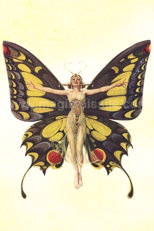 Flapper Butterfly Magnet