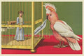 Birdcage Switch Magnet