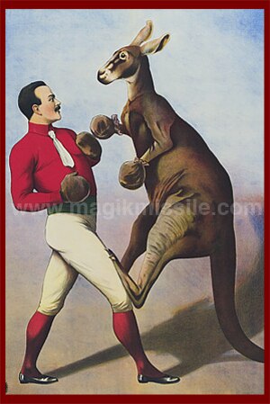 Kangaroo Court Magnet