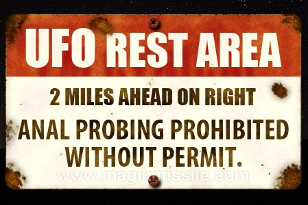 UFO Rest Area Magnet